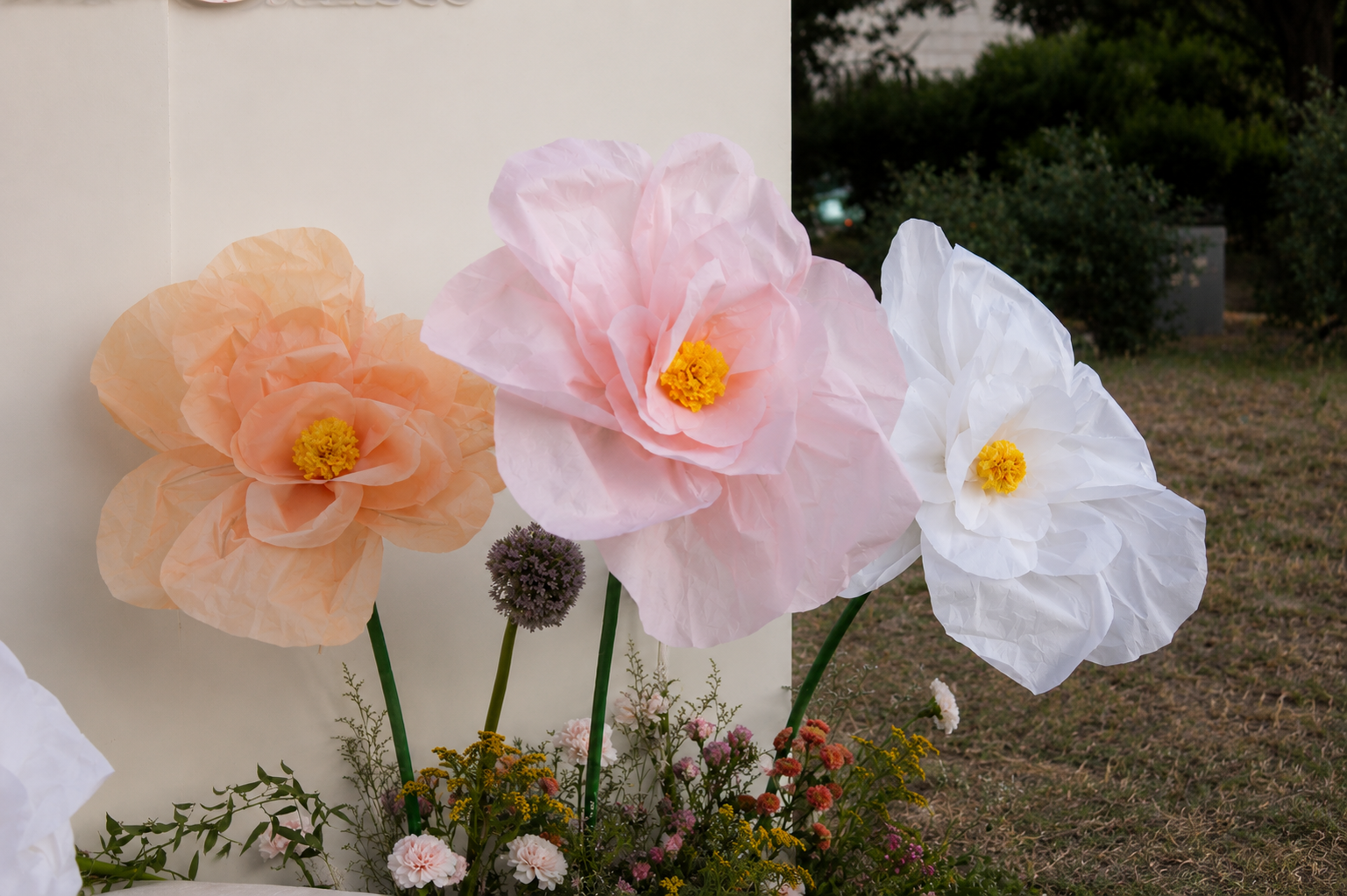 Bloom 57Fb97D8 7116 40Ad 86D0 47Ace815511C 2.Png